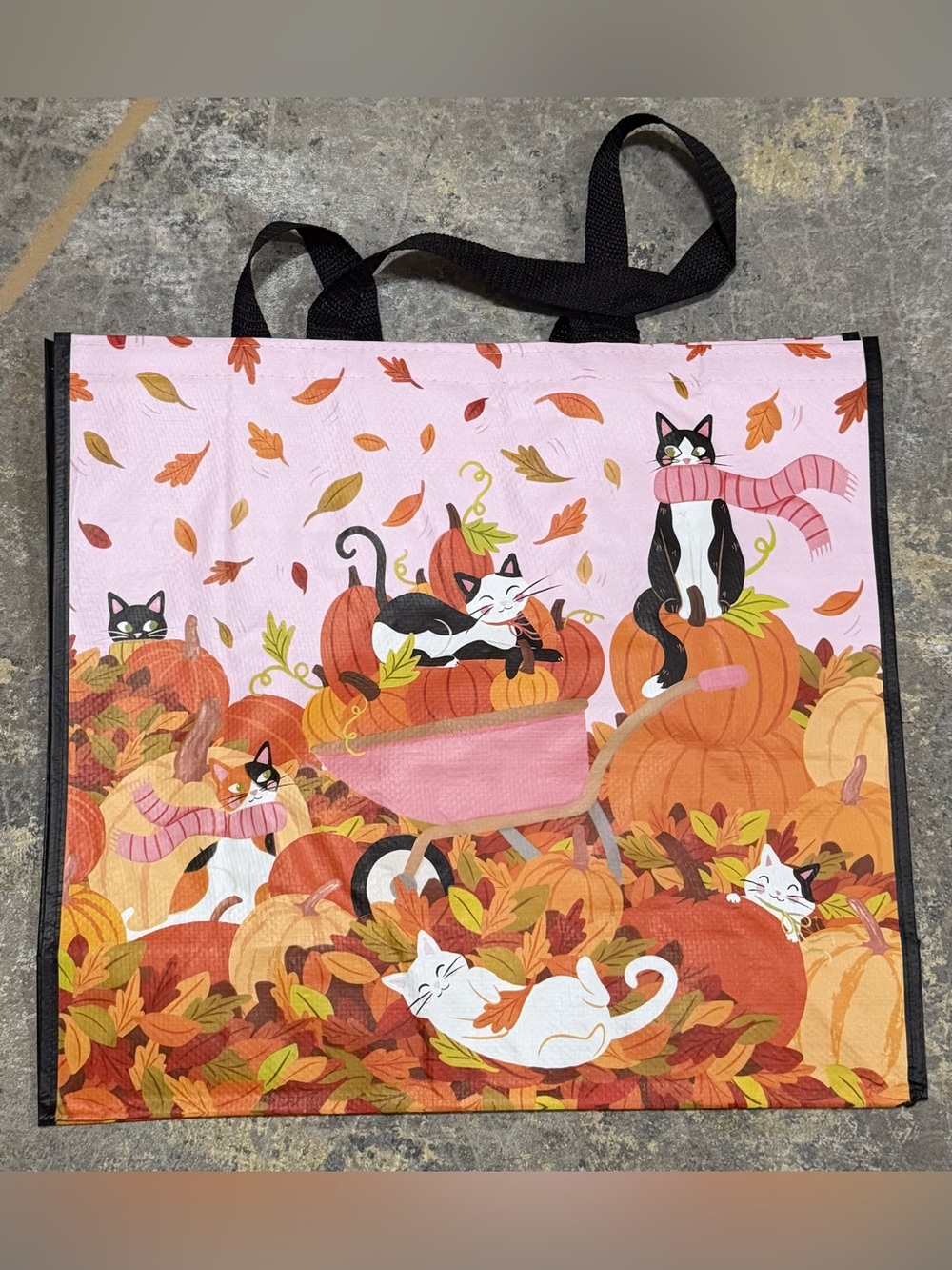 TJMaxx HomeGoods Marshall’s Reusable Shopping Tote Bag - Fall Cats Theme